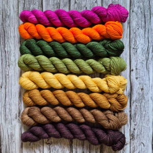 Color Kaleidoscope - Ember Garden